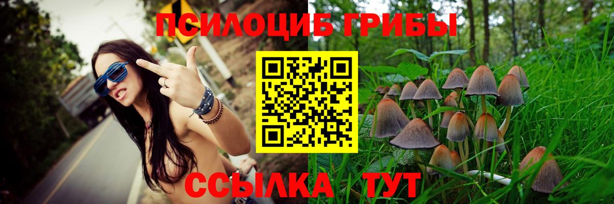 Галлюциногенные грибы Psilocybine cubensis  Вход с VPN  Реж  Псилоцибиновые грибы MAGIC MUSHROOMS 